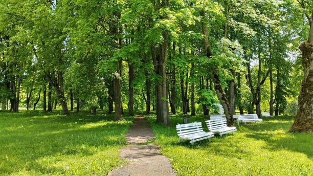 Park path and benches for recreation. stock photo
