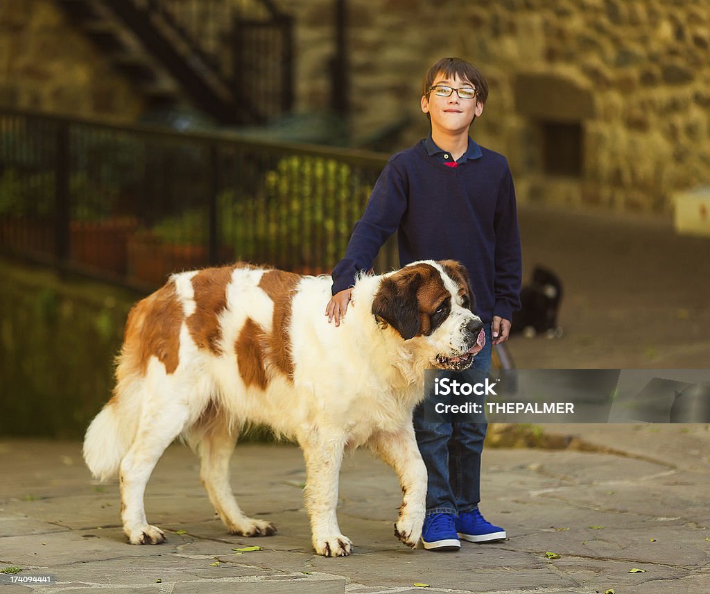 kid avec les chiens Saint-bernard - Photo de 10-11 ans libre de droits