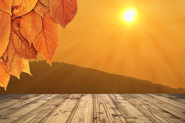 istock autumn backdrop with wooden terrace 174096096