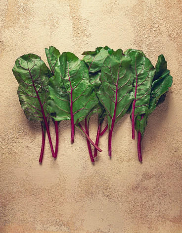 fresh, green leaves, stem with beet leaves, on the table, top view, rustic, no people,