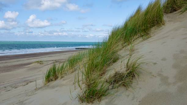istock North Sea landscape 1740972170