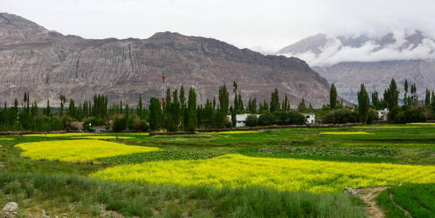 istock Mountainscape with the field on valley 1740972173