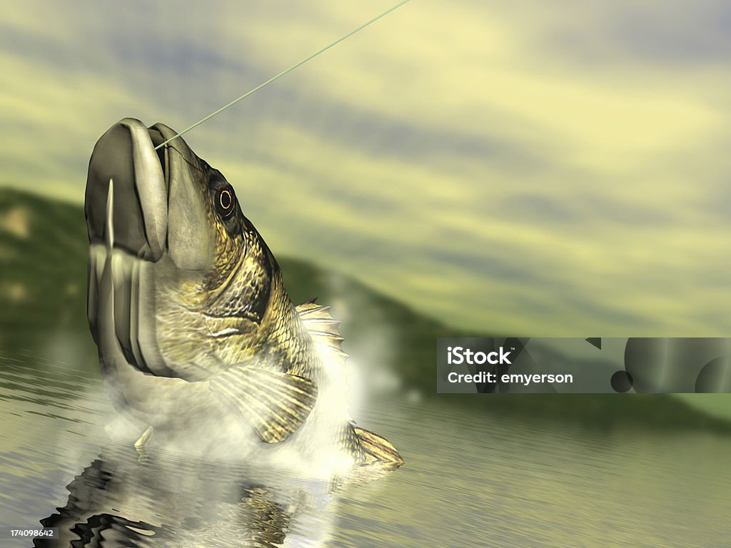 Bass Fishing Reeling in a big ol' bass. Fish Stock Photo