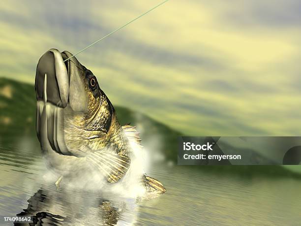 Bass Fishing Stock Photo - Download Image Now - Fish, Fishing Hook, Catching