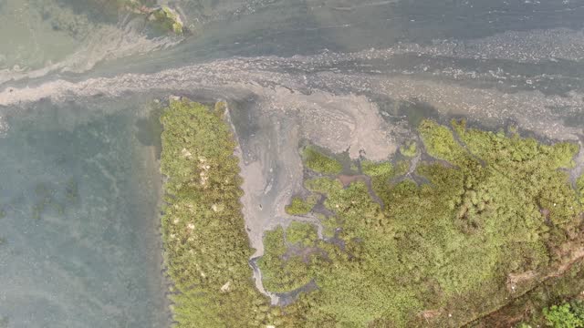 Polluted marsh area