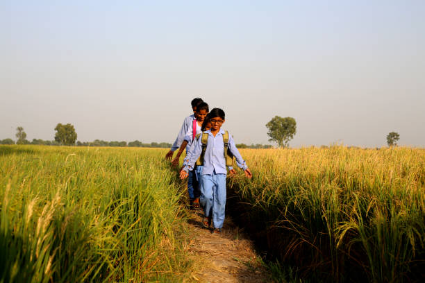 istock Elementary age school students walking on country road after school 1740994779