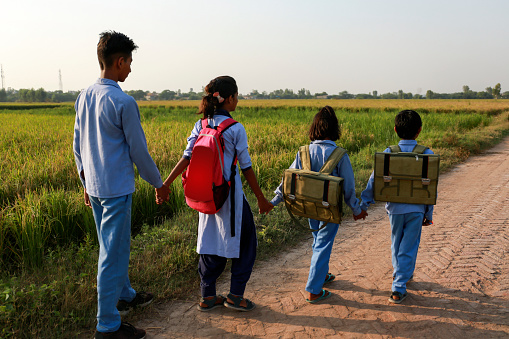 Group of elementary age school students walking in a row on country road after school vacation portrait together outdoor in nature wearing school uniform and carrying school bag.
