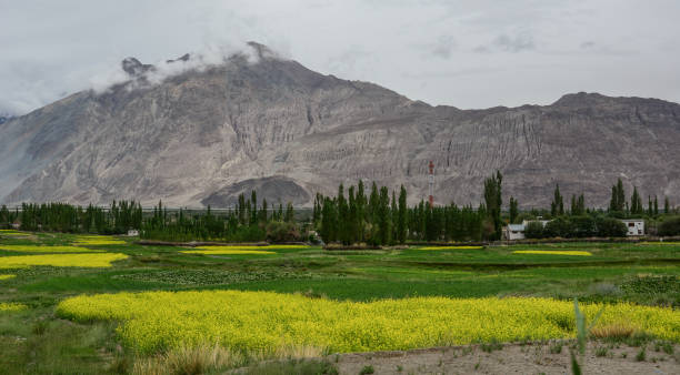istock Mountainscape with the field on valley 1740996479