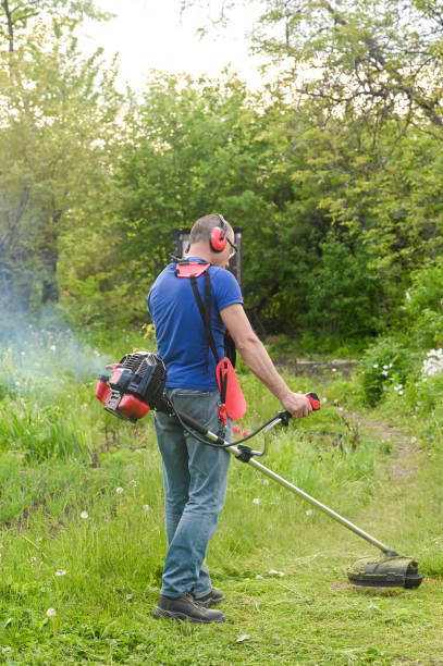 un giardiniere falcia l'erba verde del prato nel cortile di casa con un tosaerba a benzina. - electric trimmer foto e immagini stock