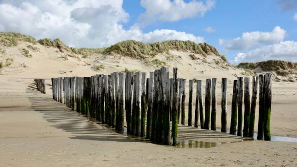 istock Wave-breaker, wood piles 1741004349