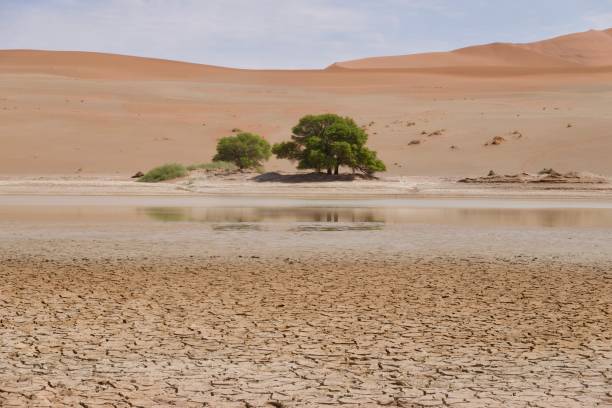 istock Sossuvlei shaped by the Tsauchab River 1741005495