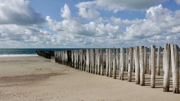 istock Wave-breaker, wood piles 1741007174
