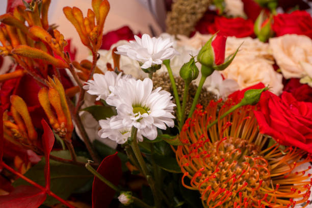 istock Autumn bouquet of red and white roses, hydrangeas, chrysanthemums as a background. 1741009373