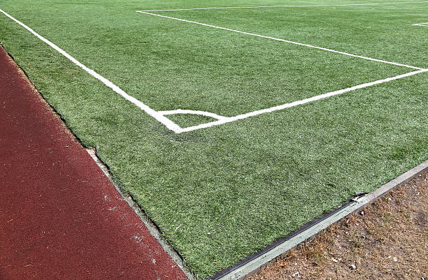 istock Grass turf on a sports field 174101665
