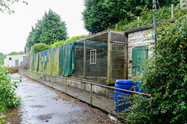 istock Neglected cages at an old fashioned zoo. 1741016997