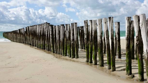 istock Wave-breaker, wood piles 1741018822
