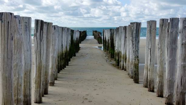 istock Wave-breaker, wood piles 1741018828