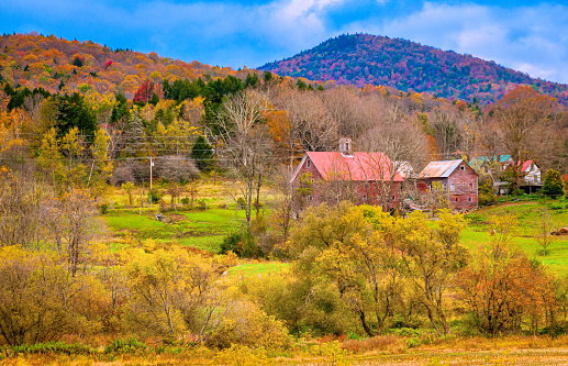 Rustic red barns, in a semi collapsed state, along a rural road in central Vermont in mid October.