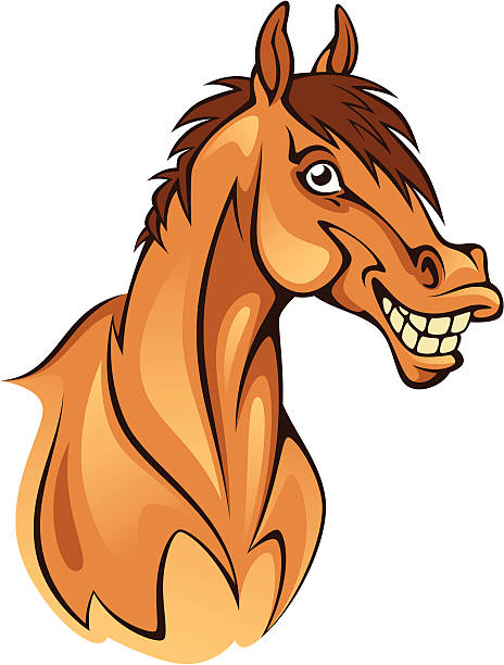 забавная голова лошади - ass mule animal bizarre stock illustrations