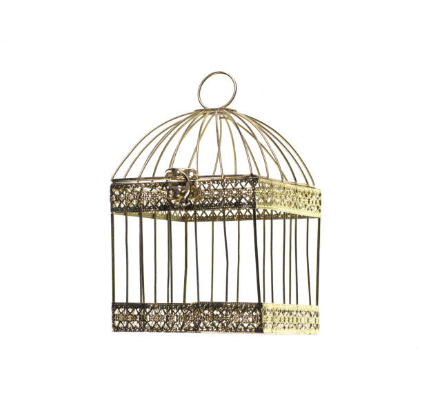 istock golden bird cage isolated on white background 1741027783