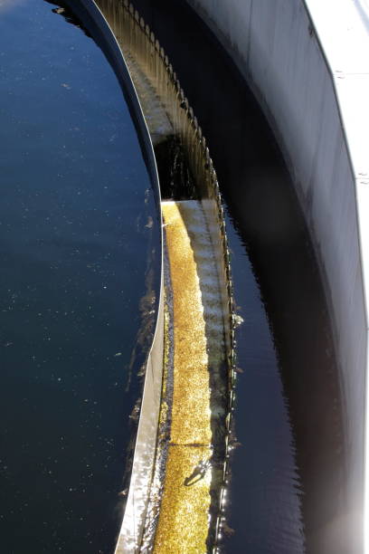 istock Algae formation in a basin in a sewage treatment plant 1741033798