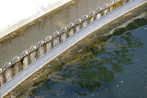 Algae formation in a basin in a sewage treatment plant