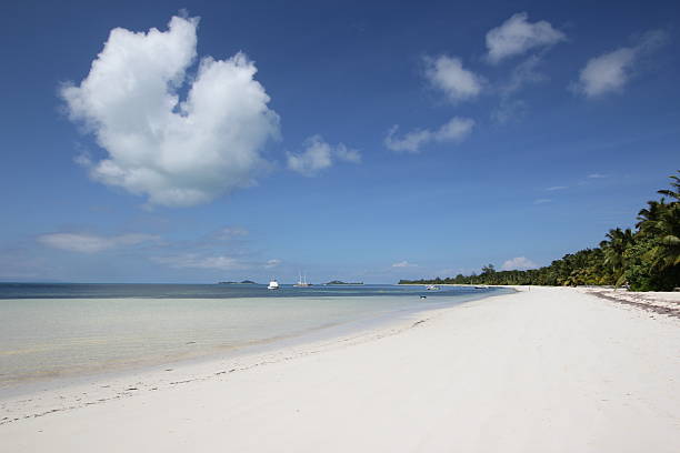 istock Grand Anse, White Sandy Beach on Praslin Island, Seychelles 174103893