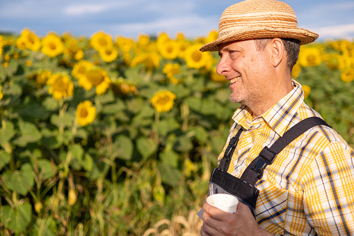 Cheerful farmer in a yellow checkered shirt, gray overalls, and yellow straw hat in sunflower fields at sunrise. He holds a cup of coffee in one hand and looks contentedly at the fields.
