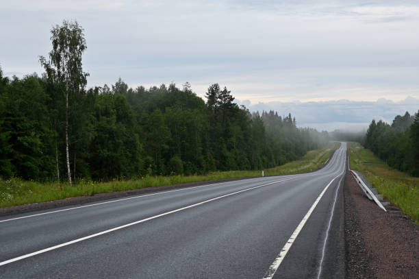 istock empty country road on a foggy evening 1741082727