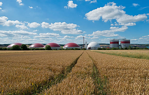 l'énergie de biomasse dans un paysage rural - nachhaltig photos et images de collection