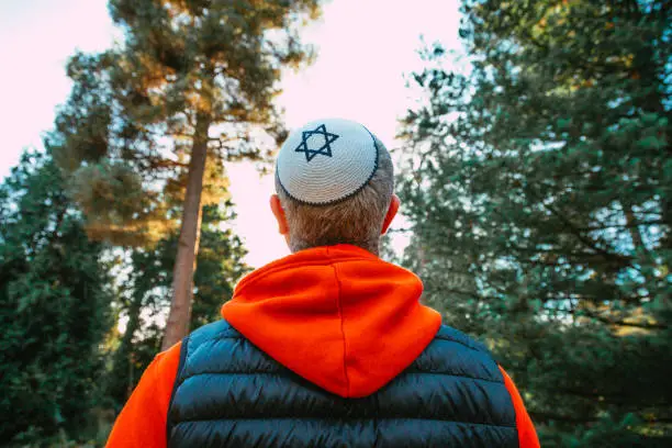 Rear view color image depicting a Jewish man wearing a yarmulke, or kippah, while walking on a path in the forest. The young man is dressed casually in red hoodie, blue denim jeans and black gilet.