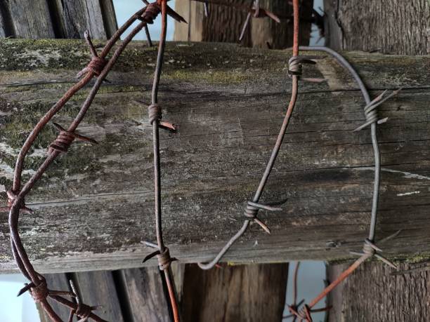 barbed wire wrapped around the old fence - rust covered imagens e fotografias de stock