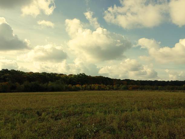 istock Beautiful evening landscape at sunset. White cumulus clouds over spacious fields bordering the forest. Plain landscape. 1741105115