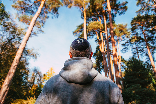 Rear view color image depicting a Jewish man wearing a yarmulke, or kippah, while walking on a path in the forest. The young man is dressed casually in grey hoodie.
