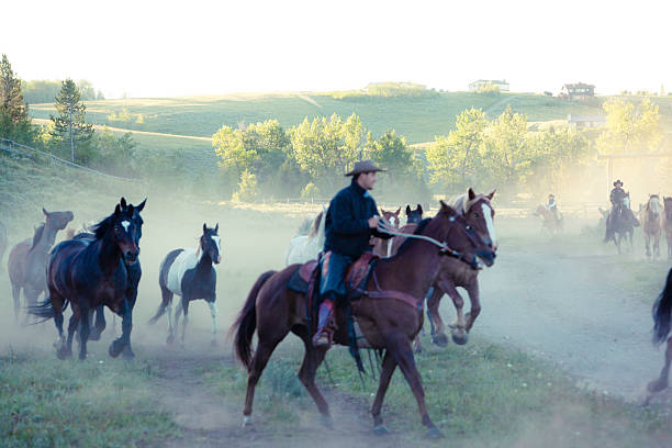 istock Wranglers Bringing In The Horses On A Ranch 174114626