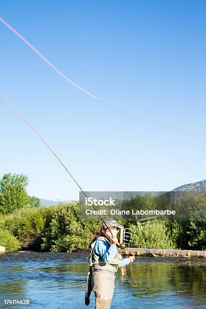 Mujer Pesca Con Mosca En Una Montaña De Vapor Foto de stock y más banco de imágenes de Adulto - Adulto, Agua, Aire libre