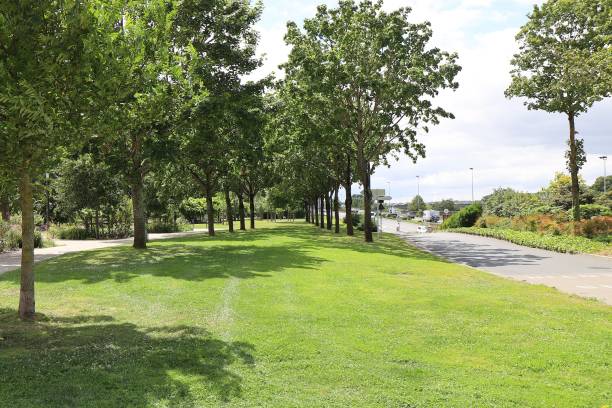 istock Angers - Jean Turc promenade 1741167359