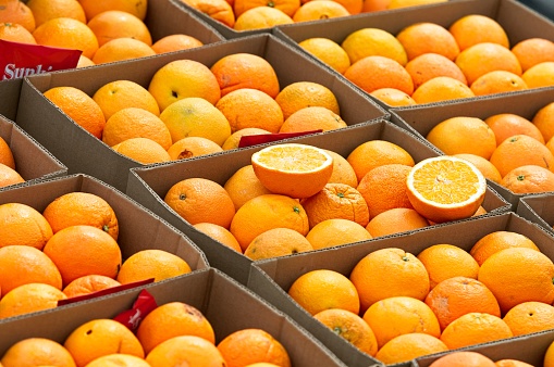 Oranges on Sale at a Farmers Market