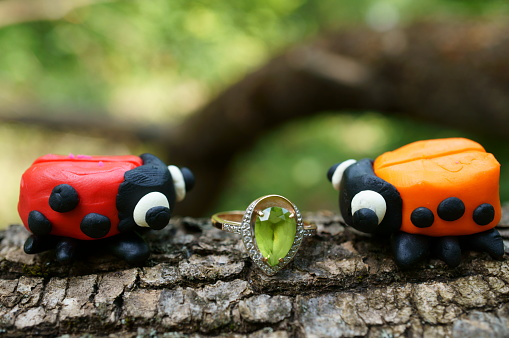A pair of toy ladybugs look at each other. There is a precious ring between them. A symbol of a relationship. Affection, love and flirting. Wedding.