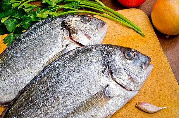 istock Gilthead fishes ready to preparation 174118549