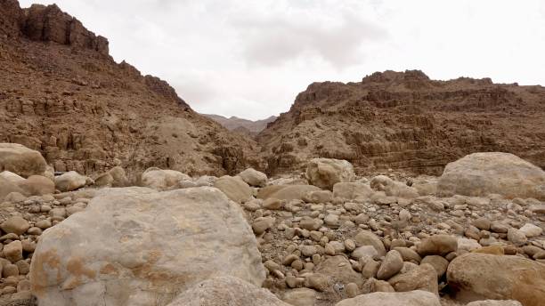 istock Death Sea in Jordan 1741226752