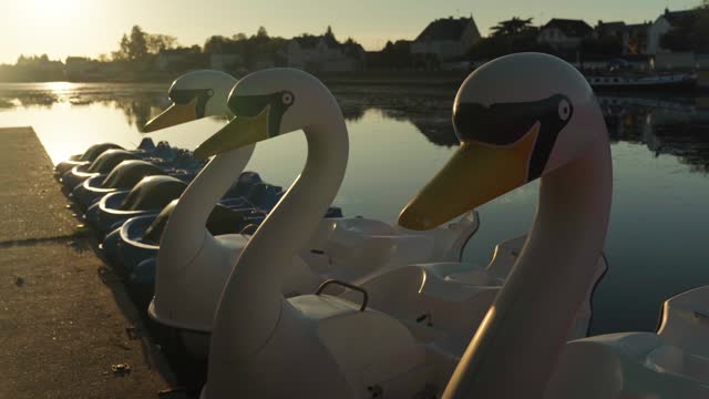 Beautiful Swans of plastic. Paddle boats for children and families. Idyllic village