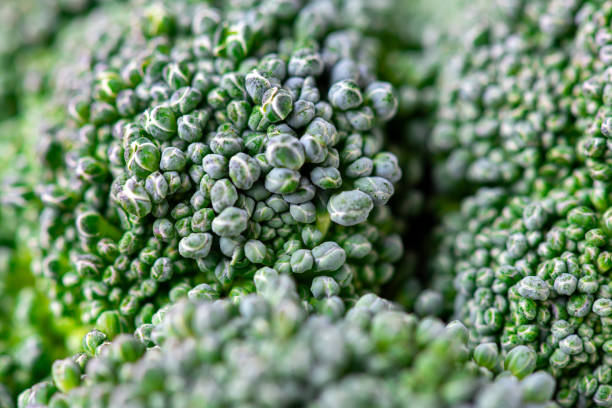 istock Pattern of broccoli. Macro photo green broccoli texture. Fresh green broccoli vegetable. Vegetables for diet and healthy food. Organic food 1741252161