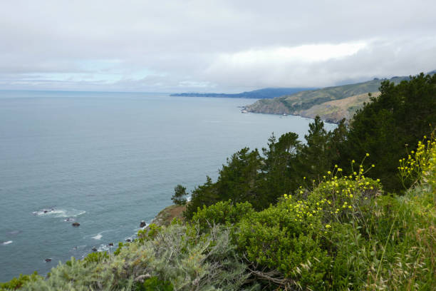 istock Highway 1, North of San Francisco 1741256504