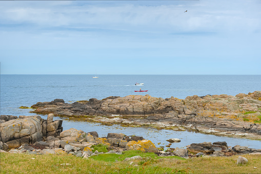 The northern coast of Bornholm, Danmark, with seagulls in front of the shore