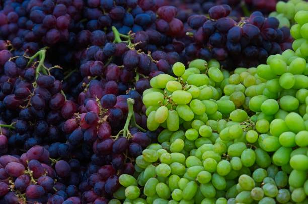 istock Grapes on Display at a Farmers Market 1741297208