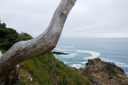 The name Mendocino comes from Cape Mendocino, approx 85 miles north, named by Spanish navigators