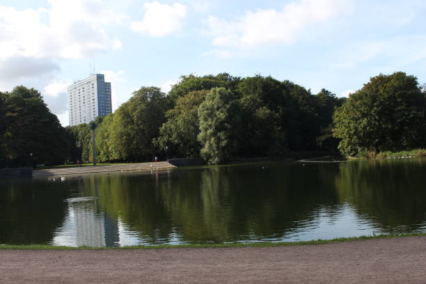 widok na przyrodę - sweden summer swimming lake zdjęcia i obrazy z banku zdjęć