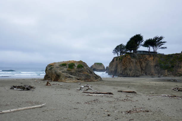 istock Seaside Creek Beach, California 1741331439