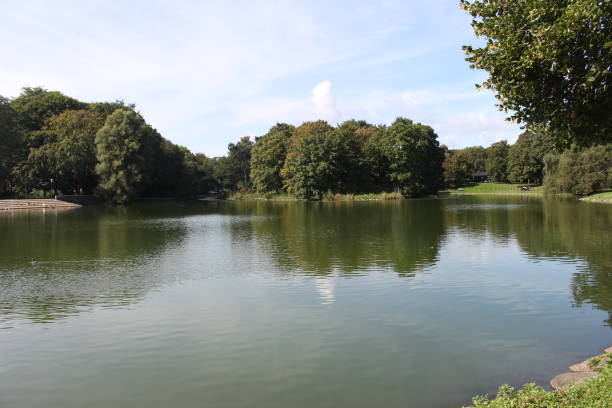 widok na przyrodę - sweden summer swimming lake zdjęcia i obrazy z banku zdjęć